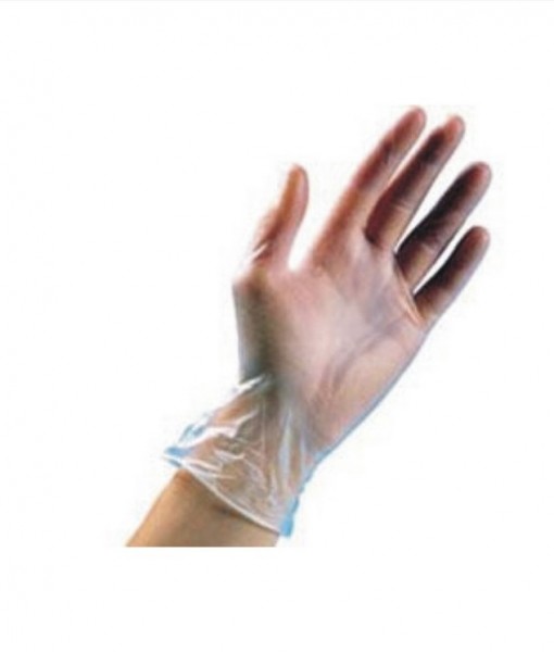 Vinyl PF Disposable Gloves (100 pack)
